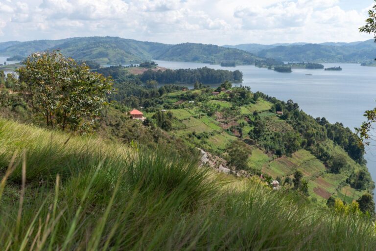 bunyonyi (1)