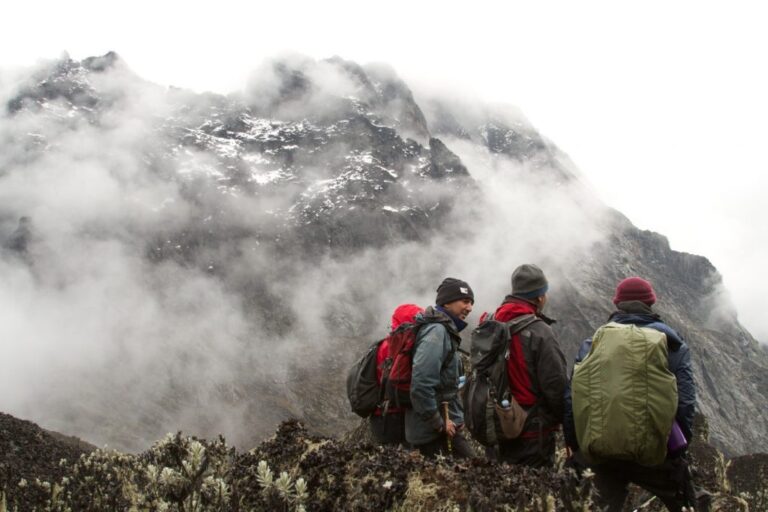 hiking-rwenzori-2-1024×683